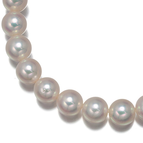 ミキモト ネックレス アコヤパール 真珠 6.0-6.4mm   シルバー 