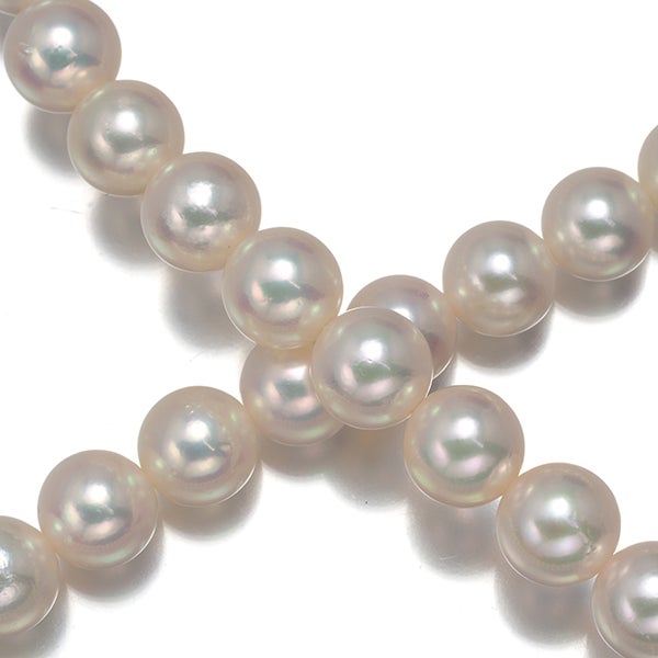 ミキモト ネックレス アコヤパール 真珠 6.0-6.4mm   シルバー 