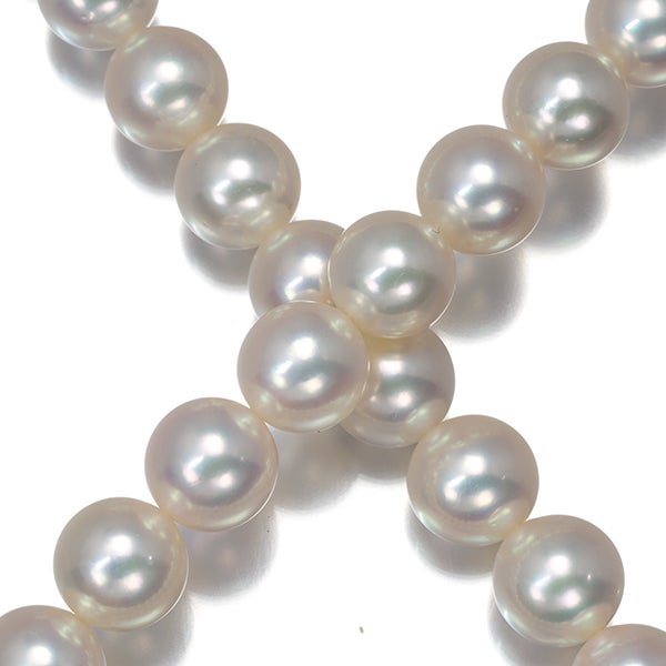 ミキモト ネックレス パール アコヤ真珠 6.5-8.5mm   シルバー 