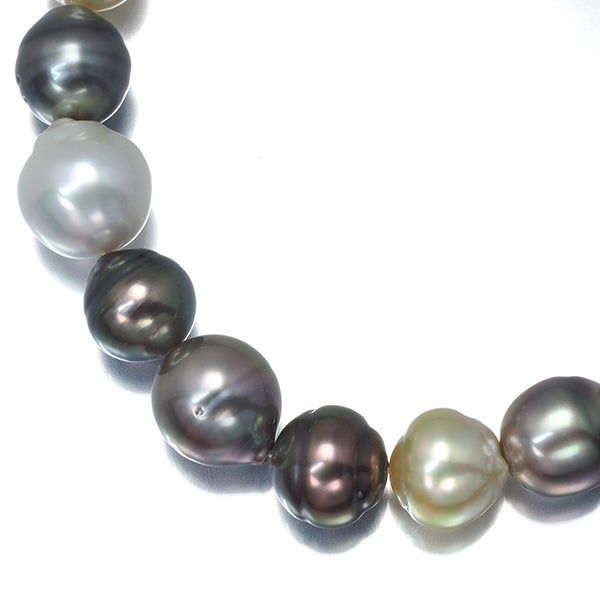 ブラック＆ゴールデン パール 真珠 8.4-12.8mm マルチカラー ネックレス シルバー
