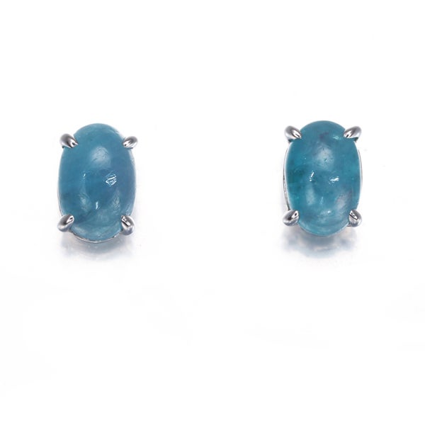 GSTV ピアス パライバトルマリン 0.40ct/0.40ct   Pt950/Pt900 ソーティング