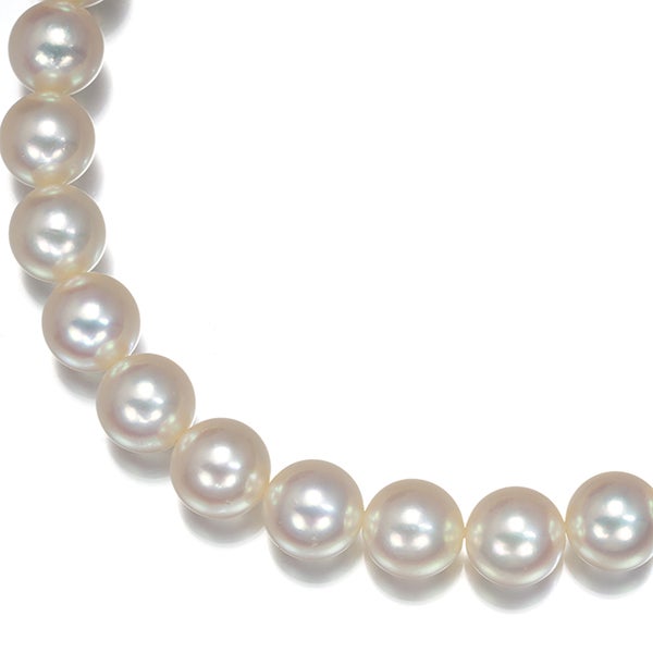 ミキモト ネックレス アコヤパール 真珠 6.0-6.4mm   シルバー 