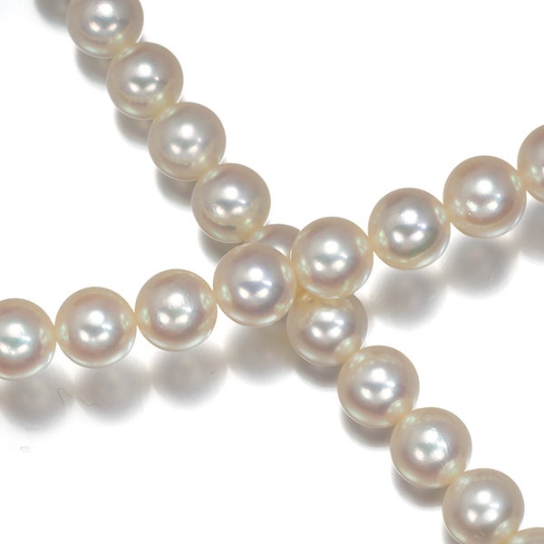ミキモト ネックレス アコヤパール 真珠 6.0-6.4mm   シルバー 