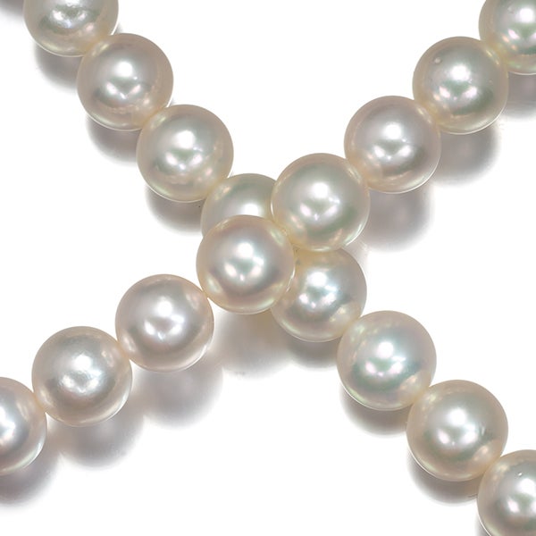 ミキモト ネックレス アコヤパール 真珠 7.5-8.0mm  ロング K14WG 
